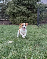 processed/598848c1-f46f-4170-a0ec-13dade80f7d2/listing/e77ba947-dd79-4457-aaef-c290f5f1c9fd/eb432774-c159-4ff8-9e46-d47e73df88ef