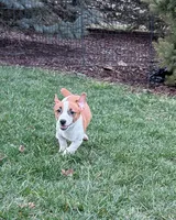 processed/598848c1-f46f-4170-a0ec-13dade80f7d2/listing/e77ba947-dd79-4457-aaef-c290f5f1c9fd/f853a5df-1f53-4ec9-8134-4ff023c59e58