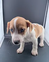 processed/598848c1-f46f-4170-a0ec-13dade80f7d2/listing/f98e64b2-e78b-46c7-a907-6880c1b6f9f8/4ae81cdc-ad9d-479e-8c80-f505c72f701d