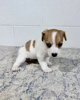 processed/598848c1-f46f-4170-a0ec-13dade80f7d2/listing/f98e64b2-e78b-46c7-a907-6880c1b6f9f8/7c564a35-7c15-4366-a611-3389189b32ff