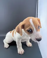 processed/598848c1-f46f-4170-a0ec-13dade80f7d2/listing/f98e64b2-e78b-46c7-a907-6880c1b6f9f8/97550a10-b52e-4da6-891e-d962d523aabb