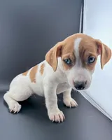 processed/598848c1-f46f-4170-a0ec-13dade80f7d2/listing/f98e64b2-e78b-46c7-a907-6880c1b6f9f8/ae12f9f5-51ea-4e55-9521-25db4fc7f081