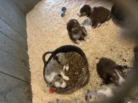 processed/59941eff-82ba-48ba-901b-247cda283170/facility/624799d0-db2a-4db1-8db0-fceffc2a772d