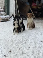 processed/59941eff-82ba-48ba-901b-247cda283170/facility/f9dfbbe1-114a-4886-8fe3-6b9e6a211d35