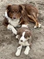 processed/59941eff-82ba-48ba-901b-247cda283170/facility/ffb7bfda-cdc7-483a-a0f9-f45b7208e88d