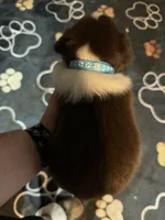 processed/59941eff-82ba-48ba-901b-247cda283170/listing/ab7b6af7-f70c-4bfd-8430-b24ff3108835/4b9405a6-d75b-46e0-a976-349c77cff336