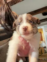 processed/59941eff-82ba-48ba-901b-247cda283170/listing/ab7b6af7-f70c-4bfd-8430-b24ff3108835/6db315c1-36b4-471c-b921-40bf878f62b6