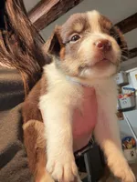 processed/59941eff-82ba-48ba-901b-247cda283170/listing/ab7b6af7-f70c-4bfd-8430-b24ff3108835/77ffd048-f25c-43a7-b750-3c5bb175426b