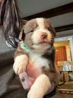 processed/59941eff-82ba-48ba-901b-247cda283170/listing/accaf7f1-8018-4ca1-8d64-b00b07e6139f/963a2078-1049-4124-896c-782b24281ce9