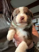 processed/59941eff-82ba-48ba-901b-247cda283170/listing/accaf7f1-8018-4ca1-8d64-b00b07e6139f/98d595eb-08af-45a0-8e49-8664d7089635