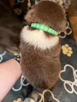 processed/59941eff-82ba-48ba-901b-247cda283170/listing/accaf7f1-8018-4ca1-8d64-b00b07e6139f/d15d1062-5fc0-4808-968e-3547ea14ded0