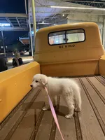 processed/5995d071-ac3a-4405-9d98-06cd0acf2105/listing/93784fd7-c171-4460-9269-8c5c06fe1ee1/7b66b425-01a8-4dae-8d3d-3438b1b118b9