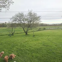 processed/59965960-5535-48b6-83b8-800ba4cb4a33/facility/1381d36b-ac7a-4622-8c7c-216e055d09d2