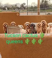 processed/59965960-5535-48b6-83b8-800ba4cb4a33/facility/1a09e132-8842-42b9-897e-ced335fab5a8