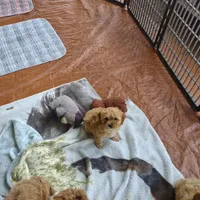 processed/59965960-5535-48b6-83b8-800ba4cb4a33/facility/8da3dae2-01a2-45b5-a22e-887fa67622da