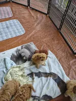 processed/59965960-5535-48b6-83b8-800ba4cb4a33/facility/8da3dae2-01a2-45b5-a22e-887fa67622da