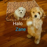 processed/59965960-5535-48b6-83b8-800ba4cb4a33/facility/c1772337-b4a7-4ea0-9ea3-136119bd8907