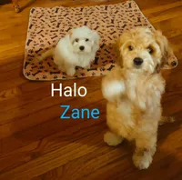 processed/59965960-5535-48b6-83b8-800ba4cb4a33/facility/c1772337-b4a7-4ea0-9ea3-136119bd8907