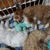 processed/59965960-5535-48b6-83b8-800ba4cb4a33/facility/fe310766-3ec3-4d5b-95c2-05e1a6927f9f