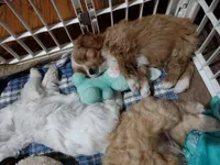 processed/59965960-5535-48b6-83b8-800ba4cb4a33/facility/fe310766-3ec3-4d5b-95c2-05e1a6927f9f