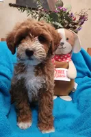 processed/59965960-5535-48b6-83b8-800ba4cb4a33/listing/b2433439-f77a-49b8-ab51-b2485e9469e4/51fdb9bf-d8c3-4057-8833-81b330b0d4f4