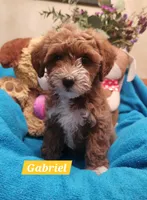 processed/59965960-5535-48b6-83b8-800ba4cb4a33/listing/b2433439-f77a-49b8-ab51-b2485e9469e4/9ba63ea4-6bbc-41e9-b3b4-fe3abc2e7af9