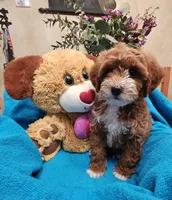 processed/59965960-5535-48b6-83b8-800ba4cb4a33/listing/b2433439-f77a-49b8-ab51-b2485e9469e4/e7bb69f5-1851-43a5-999a-1682776eb49b