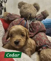 processed/59965960-5535-48b6-83b8-800ba4cb4a33/listing/e04dab42-6aa6-4d23-aa4c-82789ff00789/44983541-dc78-40c9-bca3-865a91c0c14b