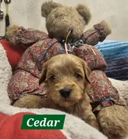 processed/59965960-5535-48b6-83b8-800ba4cb4a33/listing/e04dab42-6aa6-4d23-aa4c-82789ff00789/4f604f2c-9806-44d9-a07c-8499ce81f8a6