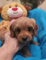 processed/59965960-5535-48b6-83b8-800ba4cb4a33/listing/e04dab42-6aa6-4d23-aa4c-82789ff00789/b247460d-1482-4836-80d2-911cb8676bc3