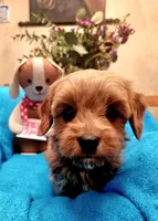 processed/59965960-5535-48b6-83b8-800ba4cb4a33/listing/e04dab42-6aa6-4d23-aa4c-82789ff00789/bf4b8f15-c0f2-43b2-96e9-d3f5e071181e