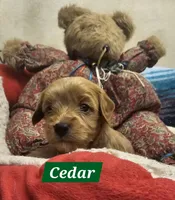 processed/59965960-5535-48b6-83b8-800ba4cb4a33/listing/e04dab42-6aa6-4d23-aa4c-82789ff00789/c3f89ba5-d07a-411b-b56f-7d9101675891