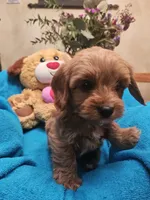 processed/59965960-5535-48b6-83b8-800ba4cb4a33/listing/e04dab42-6aa6-4d23-aa4c-82789ff00789/ed0fa616-3873-46d7-b058-2c0a5c326133