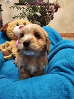 processed/59965960-5535-48b6-83b8-800ba4cb4a33/listing/e385d947-5221-4eeb-b168-9f6d351e96ee/88c61cbd-3f3a-4dd8-8ec0-775a9948cf59