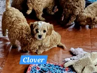 processed/59965960-5535-48b6-83b8-800ba4cb4a33/listing/e385d947-5221-4eeb-b168-9f6d351e96ee/a9581a4c-a0ce-4f1d-b17d-e05b74485d8e