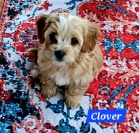 processed/59965960-5535-48b6-83b8-800ba4cb4a33/listing/e385d947-5221-4eeb-b168-9f6d351e96ee/c04e0886-91e6-427a-99a4-5f4da3860439