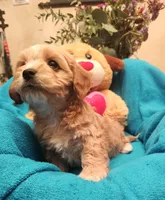 processed/59965960-5535-48b6-83b8-800ba4cb4a33/listing/e385d947-5221-4eeb-b168-9f6d351e96ee/cd18fe71-bdc9-49cc-80d3-c81f20656b27