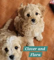 processed/59965960-5535-48b6-83b8-800ba4cb4a33/listing/f2a46bdf-e2f0-4776-bb0d-6918b76a7b0c/17d2a761-a78f-4fc7-bb15-4b5029ac4c69