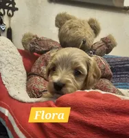 processed/59965960-5535-48b6-83b8-800ba4cb4a33/listing/f2a46bdf-e2f0-4776-bb0d-6918b76a7b0c/276eace8-b25b-46bc-90b3-dfe420fa8465