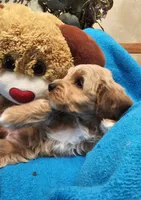 processed/59965960-5535-48b6-83b8-800ba4cb4a33/listing/f2a46bdf-e2f0-4776-bb0d-6918b76a7b0c/686bc2d2-bccb-441f-9bbc-841cbc191e42