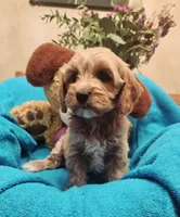 processed/59965960-5535-48b6-83b8-800ba4cb4a33/listing/f2a46bdf-e2f0-4776-bb0d-6918b76a7b0c/f6c903d6-4ba1-4d7b-9a3f-7b89b7b7f722