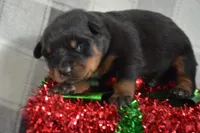 processed/599bd05d-55d1-4fbb-98d1-df9b57296036/listing/1ec7c161-1bf8-4c40-b2a9-1a12d5851ffa/6d119c60-58df-469d-9159-75a74c63f976