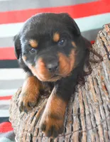 processed/599bd05d-55d1-4fbb-98d1-df9b57296036/listing/25f09c92-9263-4ec1-84ac-54e74d0af0a5/163c3a4a-48b3-44a0-825d-0d94883cb7fb