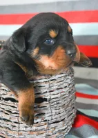 processed/599bd05d-55d1-4fbb-98d1-df9b57296036/listing/25f09c92-9263-4ec1-84ac-54e74d0af0a5/7d763172-d879-4a84-a064-1906ae3c4cab