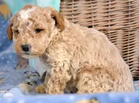 processed/599bd05d-55d1-4fbb-98d1-df9b57296036/listing/696a57ad-5b28-4de3-9317-5aba346091d8/15fb4554-4b9a-4c4f-a07e-d8542dc6fa69