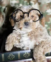 processed/599bd05d-55d1-4fbb-98d1-df9b57296036/listing/696a57ad-5b28-4de3-9317-5aba346091d8/75493213-7ab3-4766-87aa-d5b43fbd760a