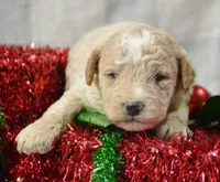 processed/599bd05d-55d1-4fbb-98d1-df9b57296036/listing/696a57ad-5b28-4de3-9317-5aba346091d8/a2192205-2c2c-4127-88ae-0908f46b7030