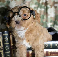 processed/599bd05d-55d1-4fbb-98d1-df9b57296036/listing/720e1406-cfb8-4178-aa88-c6910c4b935c/07dcf3fc-31a4-4b94-bd7b-018bc7bd4e3a