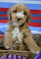 processed/599bd05d-55d1-4fbb-98d1-df9b57296036/listing/720e1406-cfb8-4178-aa88-c6910c4b935c/88550253-090c-4091-91fd-228894b4e6ba