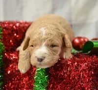 processed/599bd05d-55d1-4fbb-98d1-df9b57296036/listing/720e1406-cfb8-4178-aa88-c6910c4b935c/d03b331e-a997-46e4-a169-d3ef225b7896